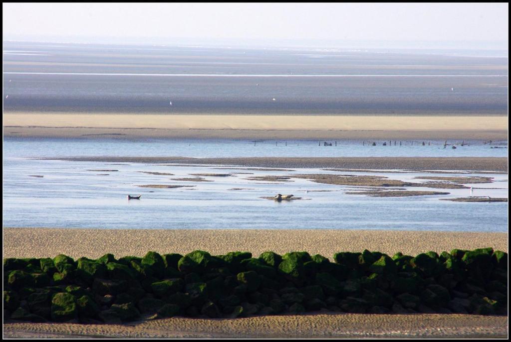 Logis Hotel & Restaurant "Au Gre Du Vent" Berck المظهر الخارجي الصورة
